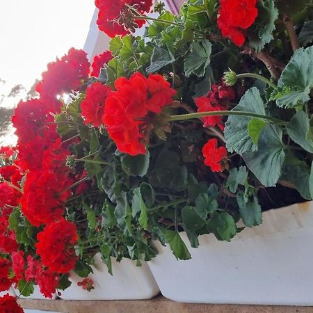 Finca Sa Cova De Mallorca Sencelles Luaran gambar