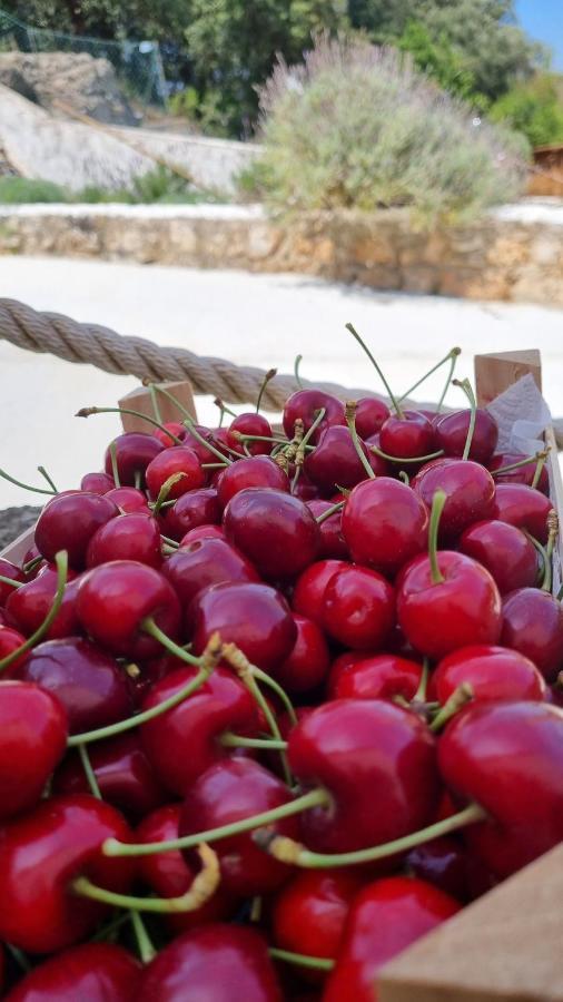 Finca Sa Cova De Mallorca Sencelles Luaran gambar