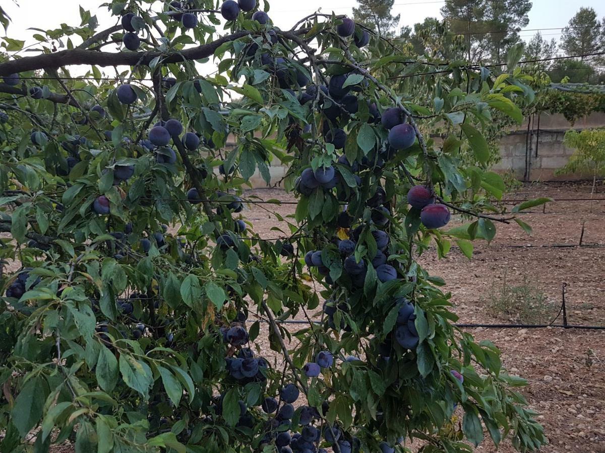 Finca Sa Cova De Mallorca Sencelles Luaran gambar