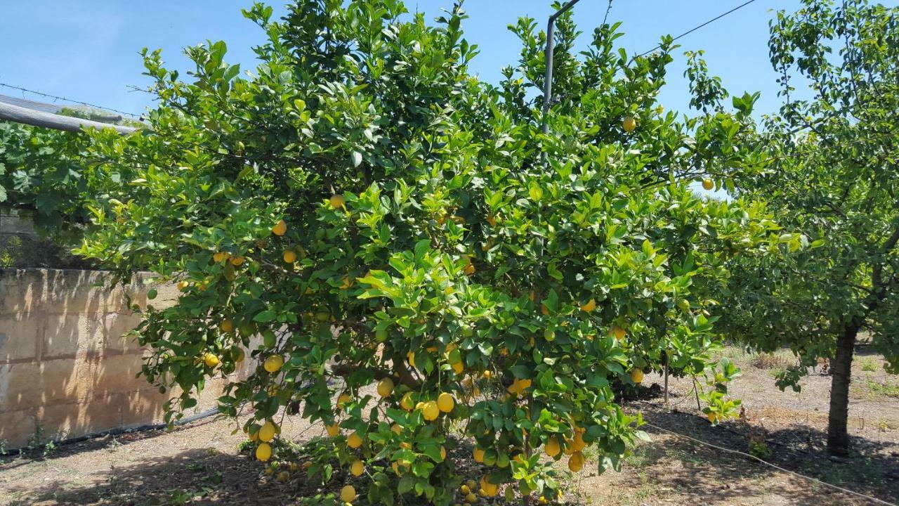 Finca Sa Cova De Mallorca Sencelles Luaran gambar