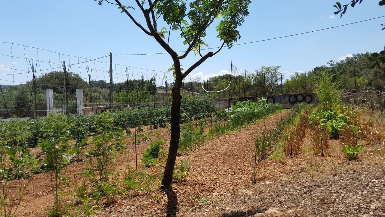 Finca Sa Cova De Mallorca Sencelles Luaran gambar