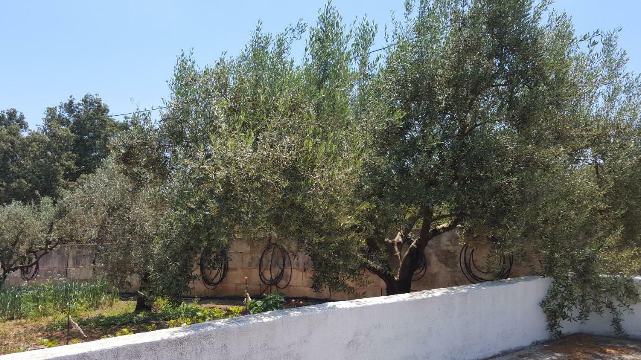 Finca Sa Cova De Mallorca Sencelles Luaran gambar