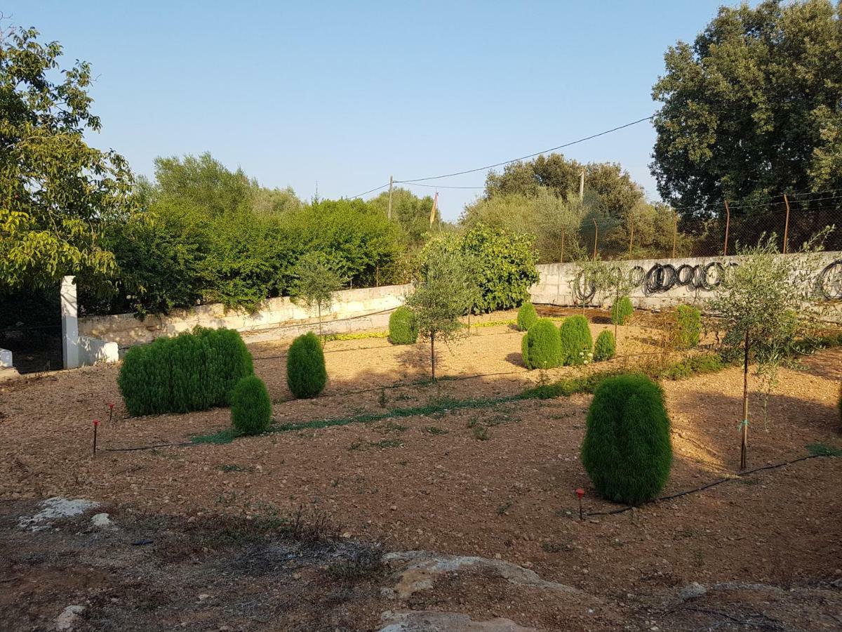 Finca Sa Cova De Mallorca Sencelles Luaran gambar