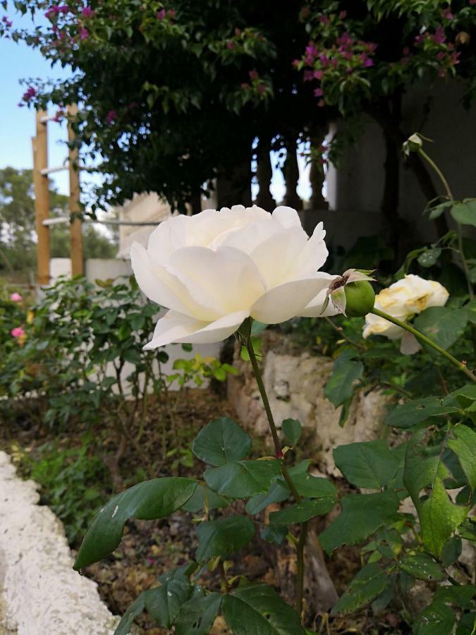 Finca Sa Cova De Mallorca Sencelles Luaran gambar