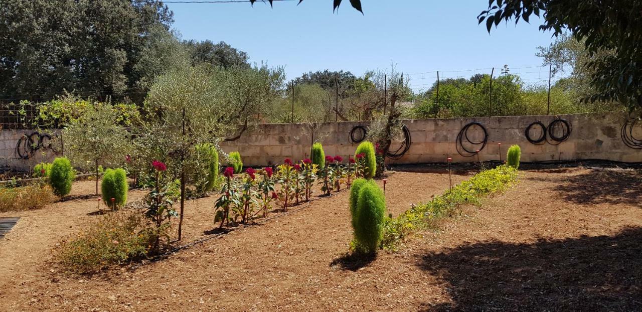 Finca Sa Cova De Mallorca Sencelles Luaran gambar